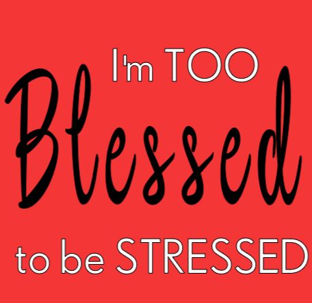 Too Blessed To Be Stressed- T-Shirt
