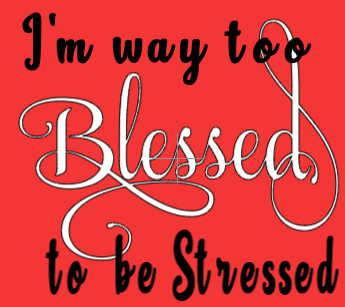 Too Blessed To Be Stressed- T-Shirt